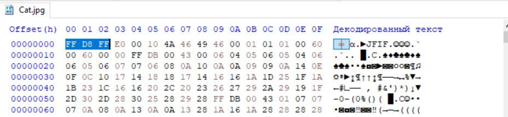 Последовательность байтов в редакторе